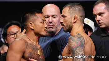 UFC 331 TV channel, live stream and fight card for Joshua Van vs Alexandre Pantoja 2
