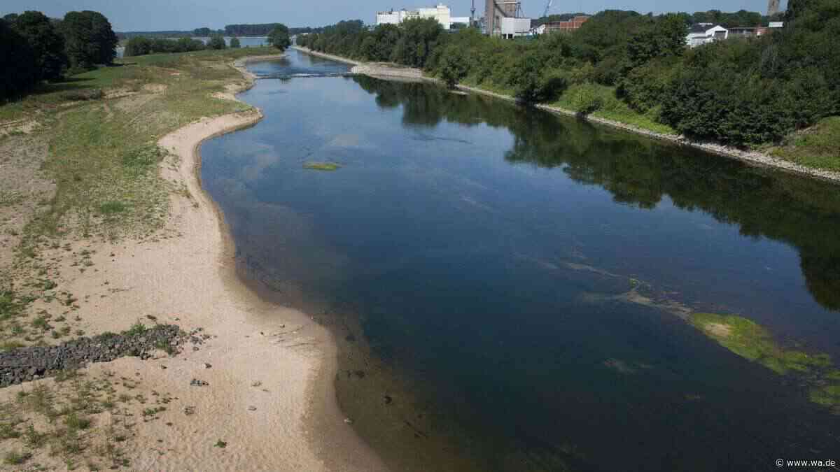 Fluss in NRW wird immer länger – Phänomen lässt sich leicht erklären
