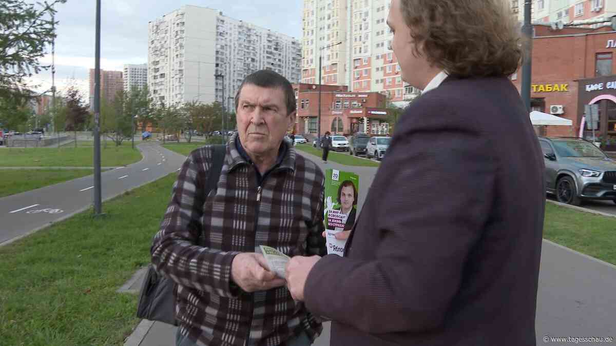 Duma-Wahl: Warum Snegowskij keine Chance gegen Tolstoj hat