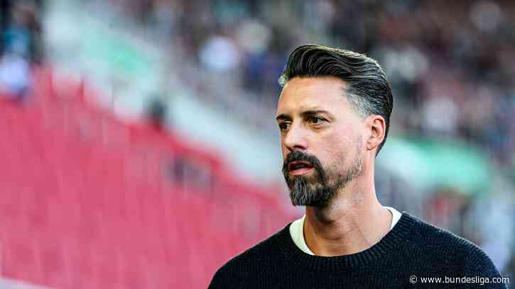 Hannover verpflichtet Sandro Wagner