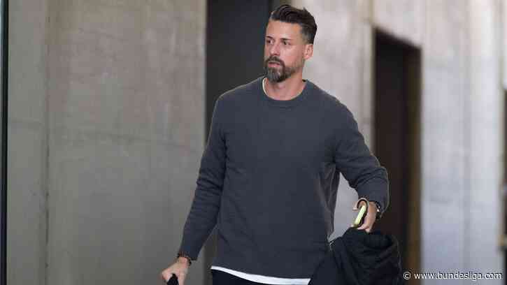 Sandro Wagner replaces Christian Titz as Hannover head coach