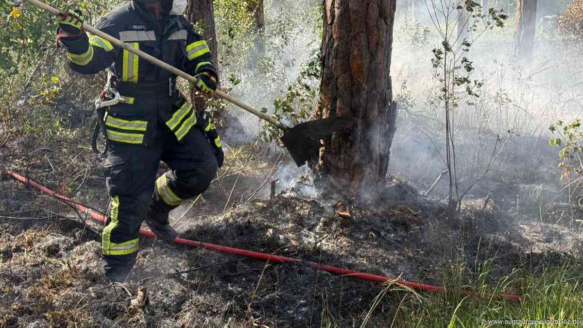 Feuerwehren löschen Flammen im Augsburger Stadtwald auf 1000 Quadratmetern
