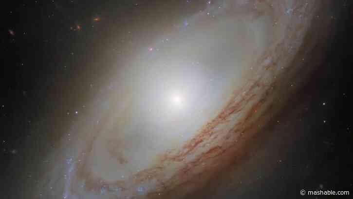Scientists want to know what this distant galaxy ate to make it so weird