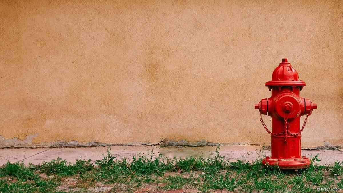 Has AI turned work into a fire hydrant?: More output, not more value