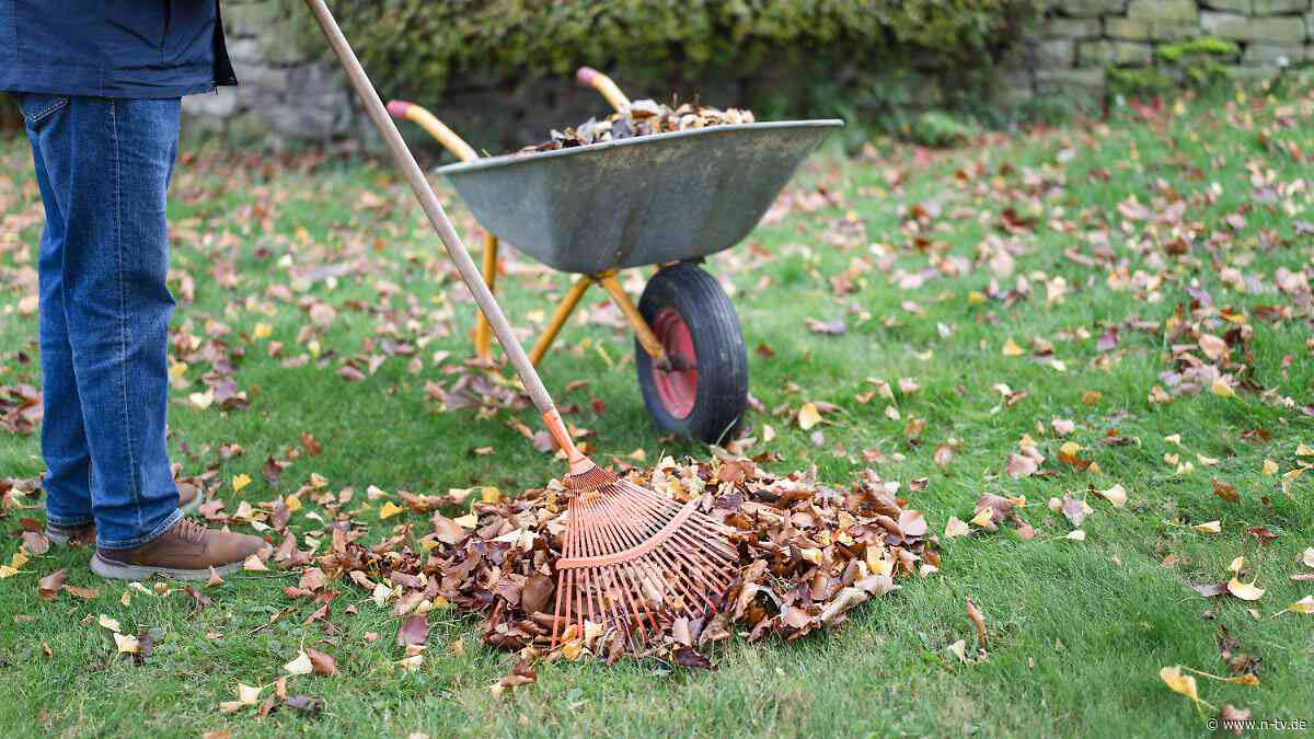 Bevor der Herbst kommt : Diese Gartenarbeiten sollten noch im September erledigt werden