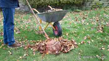 Bevor der Herbst kommt : Diese Gartenarbeiten sollten noch im September erledigt werden