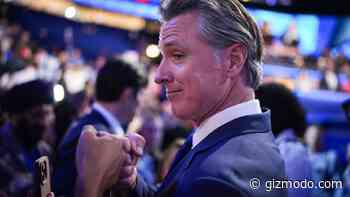 Newsom Executive Order Contains Eyebrow-Raising AI Kill Switch Proposal
