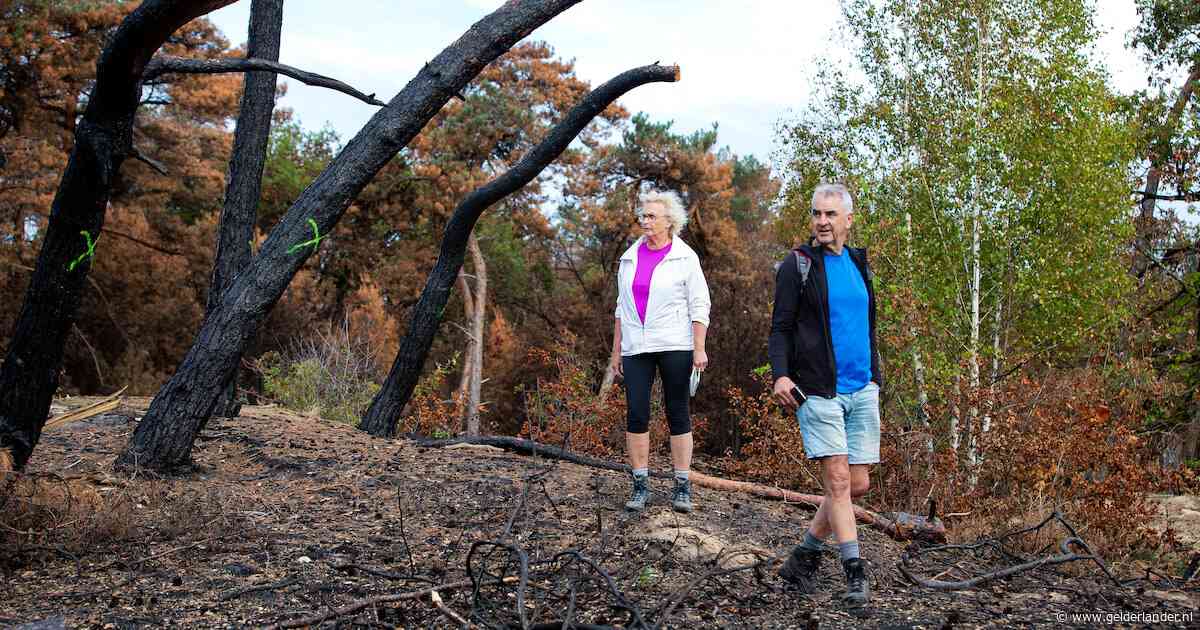 Wandelaars weer welkom in Boshuizerbergen, zeven weken na de brand: ‘Ik schrik van wat ik zie’
