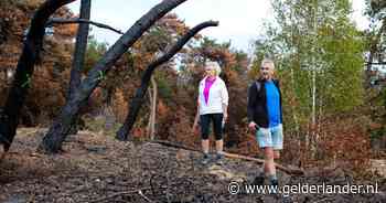 De natuur van Boshuizerbergen is zwaar getroffen, en dat breekt wandelaars het hart
