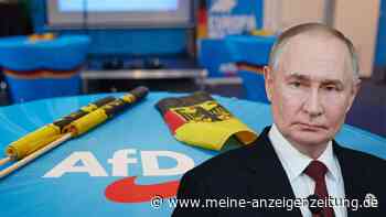 Kreml-Unterstützung für AfD: Putins Beauftragter mischt sich in MV-Wahl ein