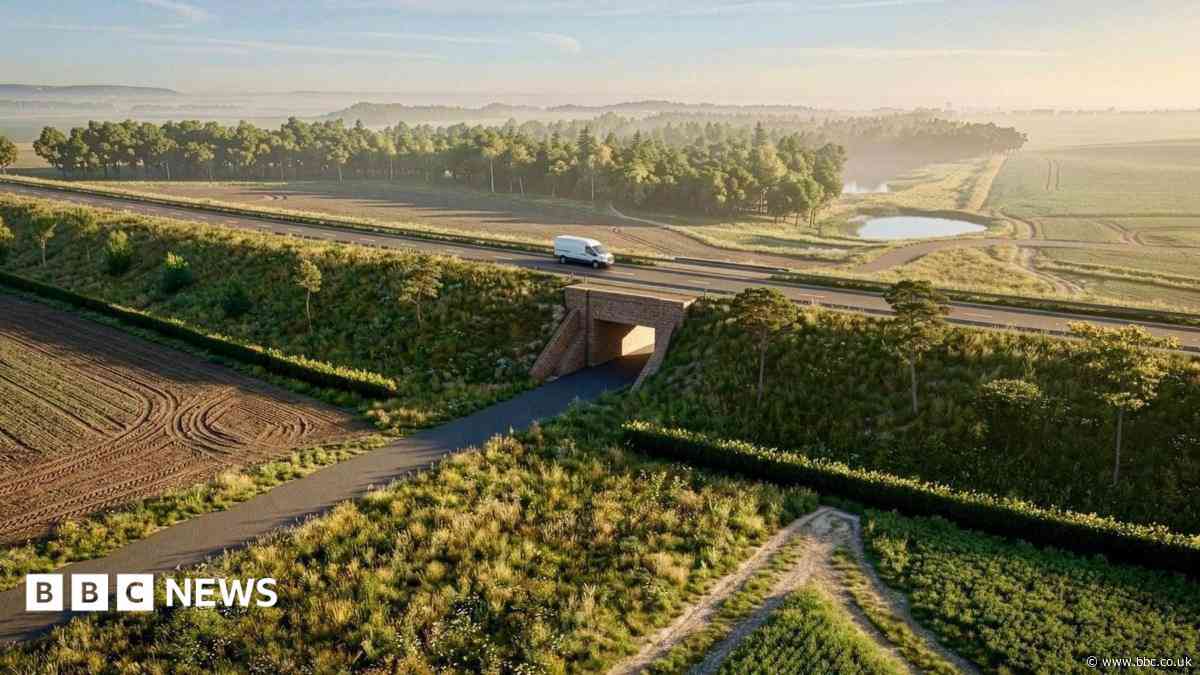 Preparatory work starts on £45m bypass