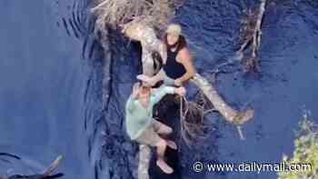 Florida men cling to tree over alligator-infested waters after capsizing boat