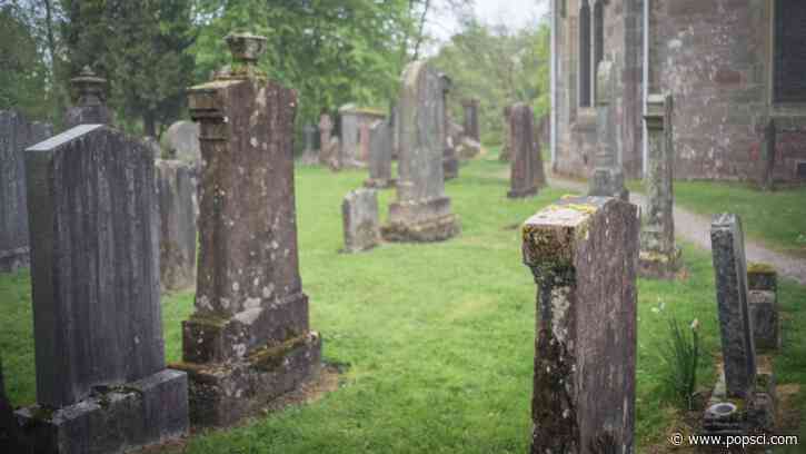 What do you want to happen to your body after you die?