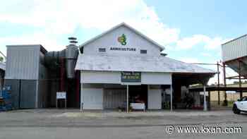 Historical Texas cotton gin used for new agriculture project