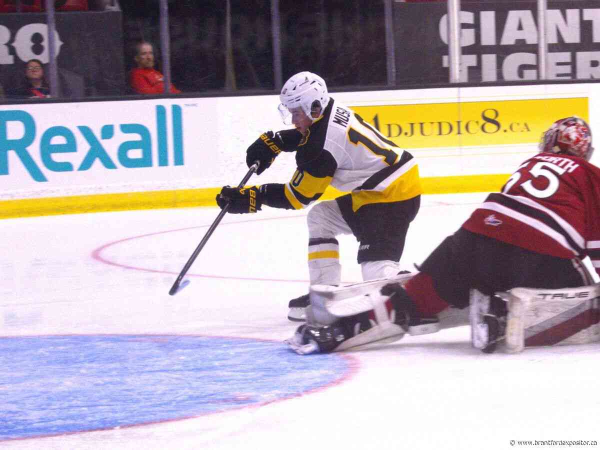 Brantford Bulldogs fans get glimpse of Aiden Kelly's greatness