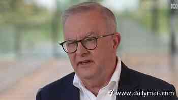 Albanese refuses to give direct answer on if copyright laws will be diluted for AI giants ahead of high-stakes talks with Donald Trump