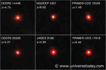 Little Red Dots Are The Seeds of Quasars and Supermassive Black Holes