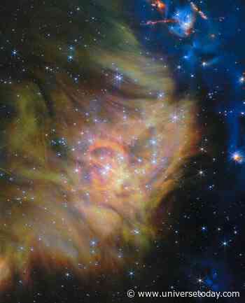 Webb Searches for Brown Dwarfs in a Stunning Star-Forming Region