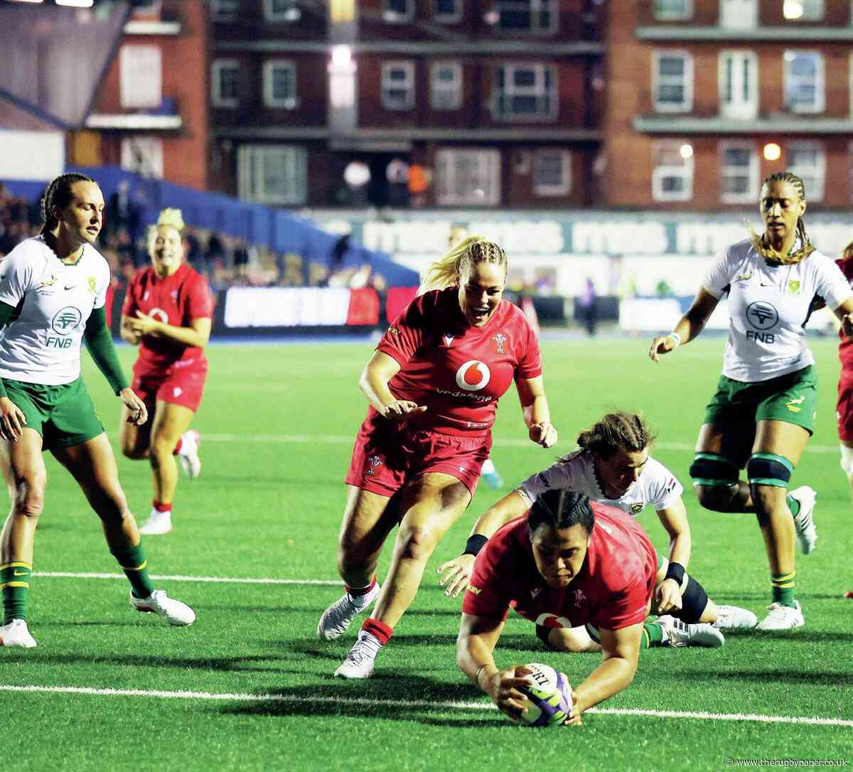 Wales on a high as hard work pays off