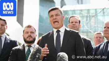 Coalition vows to cut $15 off tank of petrol when global prices spike