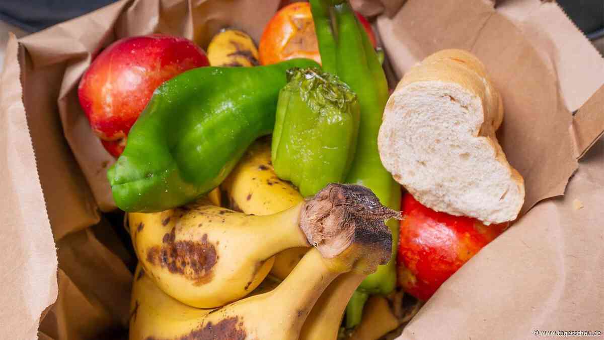Warum wir noch immer so viel Essen wegwerfen