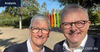 Albo wanders in to Tim Apple’s place to fix the internet