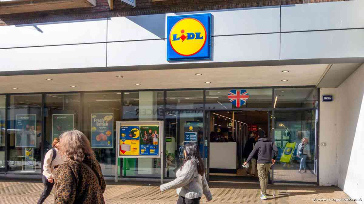 'Sturdy' £20 Lidl furniture item looks just like £63 The Range in stores on Sunday