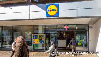 'Sturdy' £20 Lidl furniture item looks just like £63 The Range in stores on Sunday