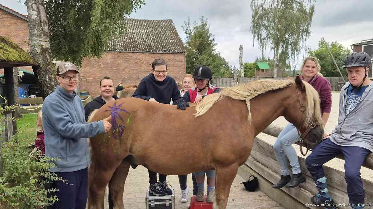 Therapeutisches Reiten: Wenn Pferde vielfältige Hilfen geben und Inklusion gelebt wird