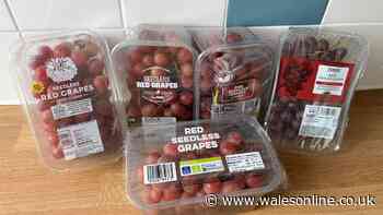 I tried grapes from Lidl, M&S, Tesco, Asda and Sainsbury's – winner was less than £2