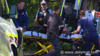 Child dead and two others fighting for life after horror incident in Blue Mountains