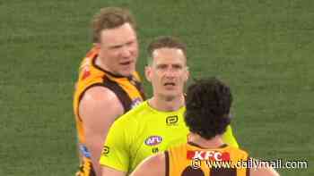 Fresh video lays bare ugly moment Hawthorn Hawks star sprints to confront umpire who made decision that sparked chaos after AFL preliminary final against Brisbane Lions