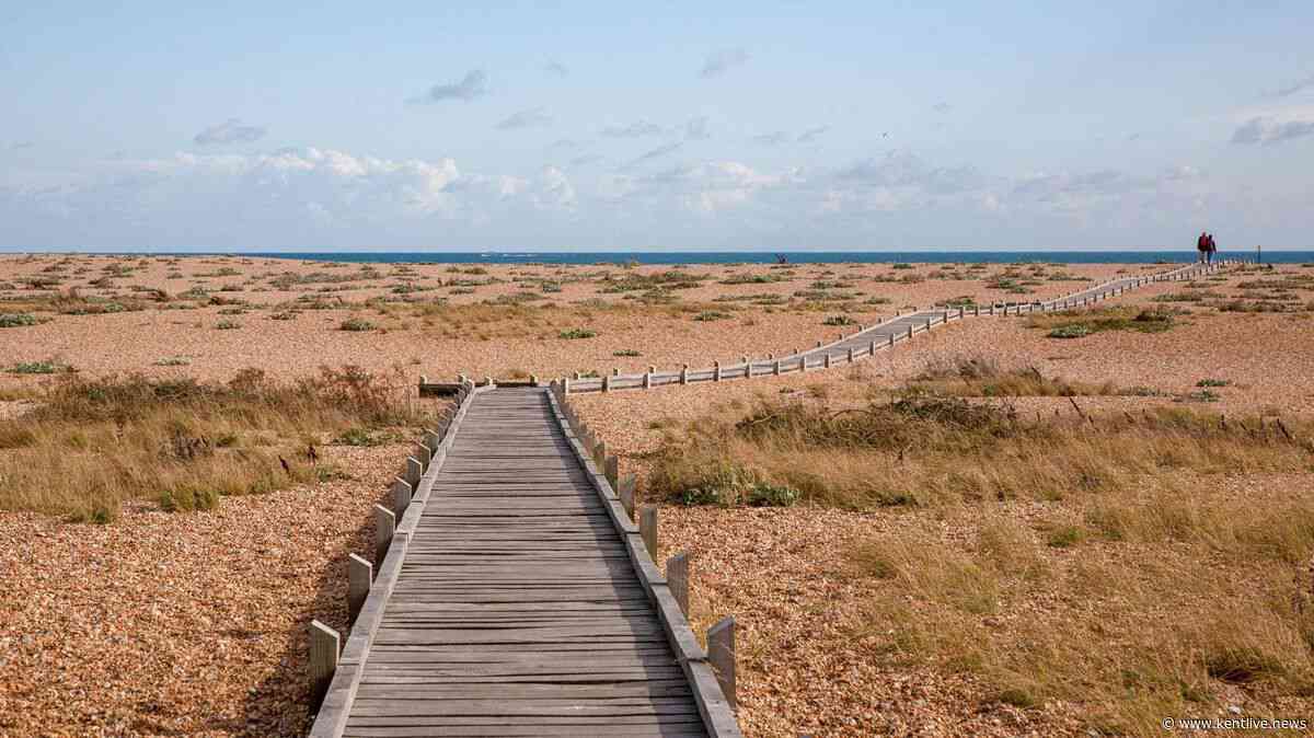 Kent's perfect autumnal walk through 'Britain's only desert'
