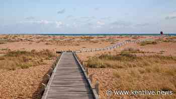 Kent's perfect autumnal walk through 'Britain's only desert'