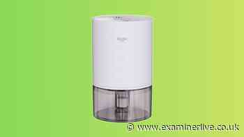 'Quiet' £35 dehumidifier that 'keeps mildew at bay' now £7 in little-known deal