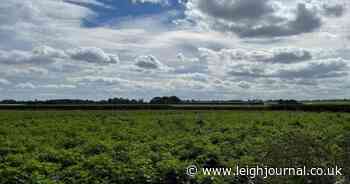 Council urged to oppose 500 acre rail freight plans for farmland