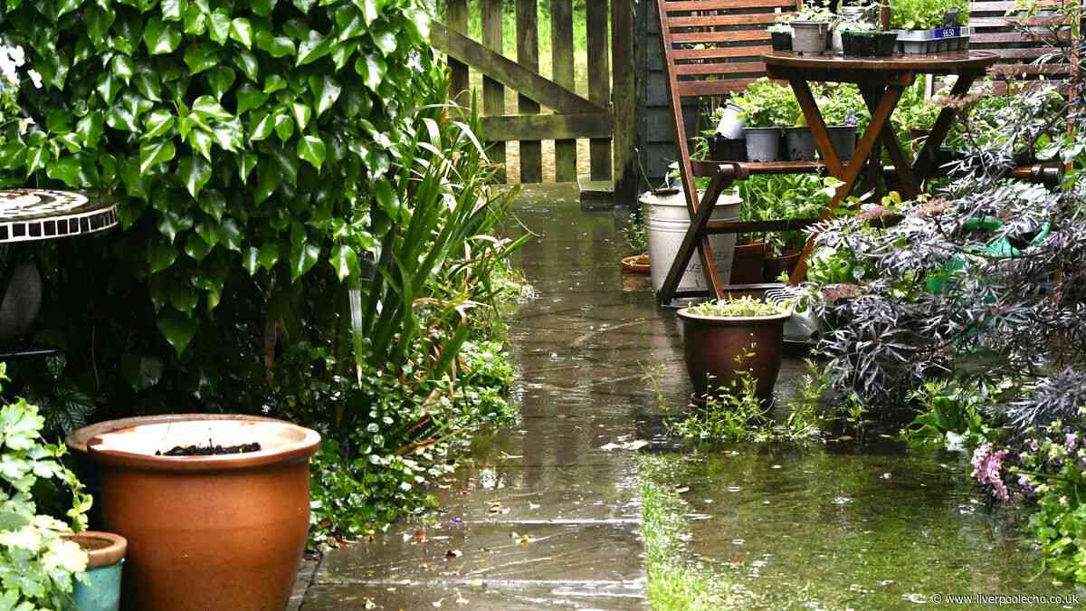 King Charles' former gardener shares essential step before autumn rain