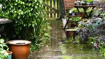 King Charles' former gardener shares essential step before autumn rain