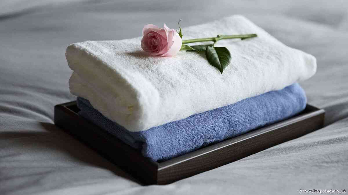 Towels will be soft and fluffy again with 65p natural fix