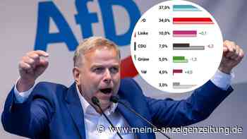 Live-Grafik zeigt AfD-Ergebnis bei Mecklenburg-Vorpommern-Wahl