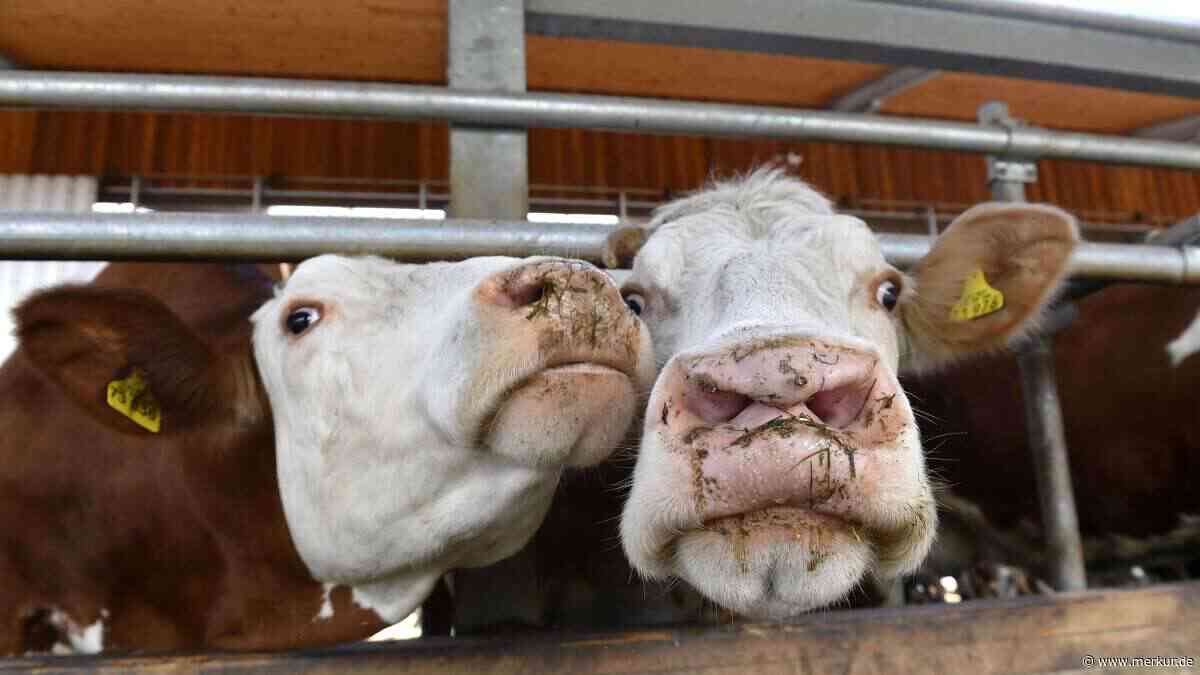 Bestes Quellwasser versickert sinnlos: Zwei Landwirte wollen das ändern