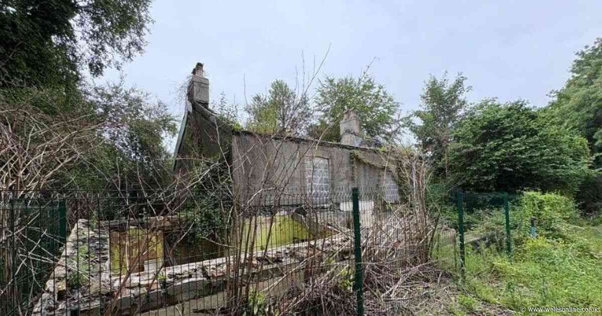 Derelict farmhouse costs just £99k but comes with two important warnings