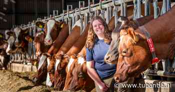 Jonge dierenarts Rosalie (33) kiest in onzekere tijden toch voor overname boerderij: ‘Je eigen koeien, dat is toch prachtig?’