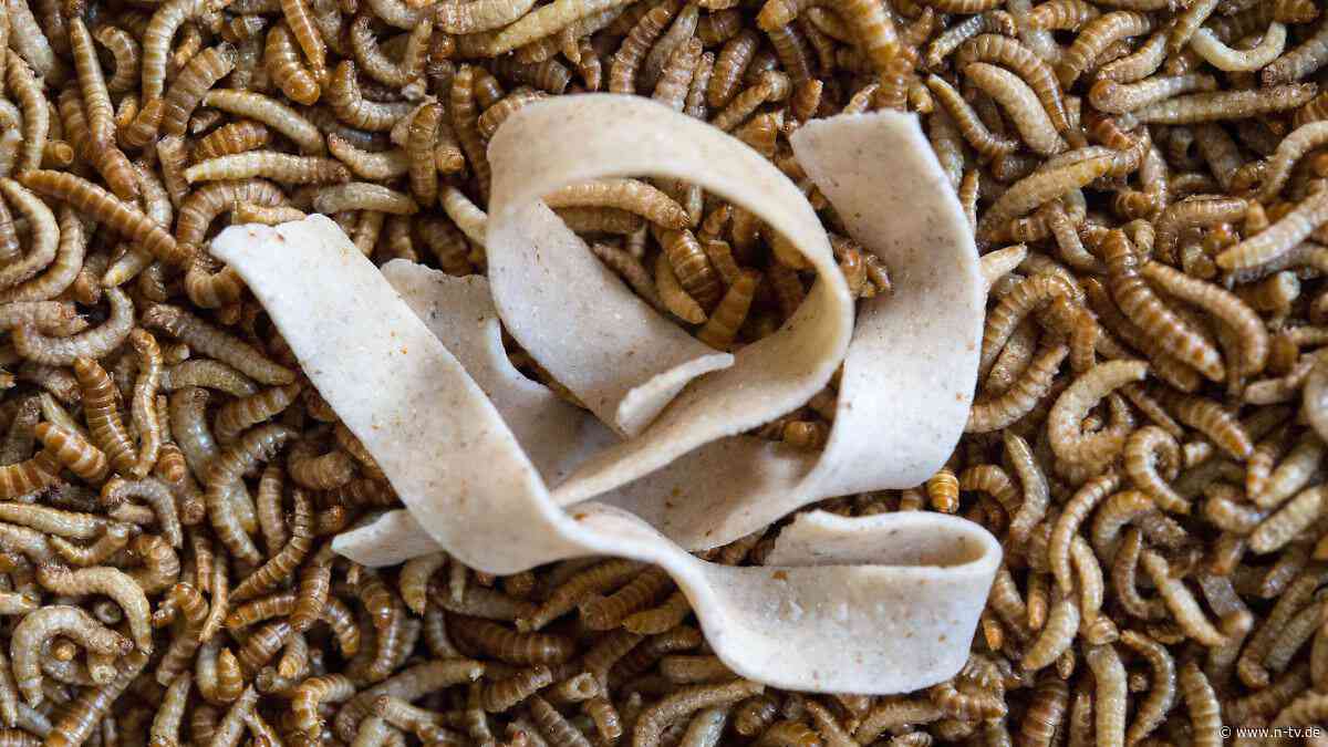 Seit 2018 in der EU erlaubt: Darum sind Insekten als Lebensmittel Mangelware