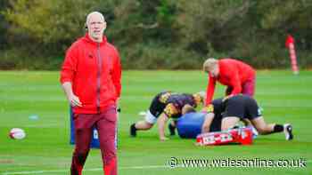 Young Welsh talent summoned by Wales just days before facing Lions captain