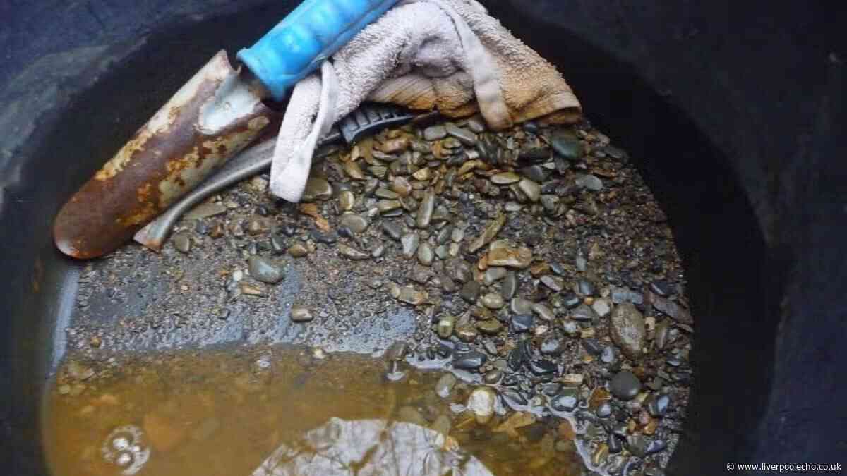 Pensioner fined thousands for illegal gold panning in North Wales forest river