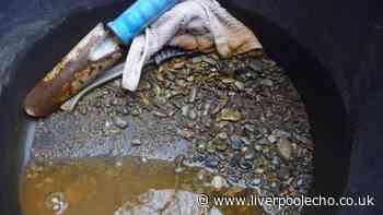 Pensioner fined thousands for illegal gold panning in North Wales forest river