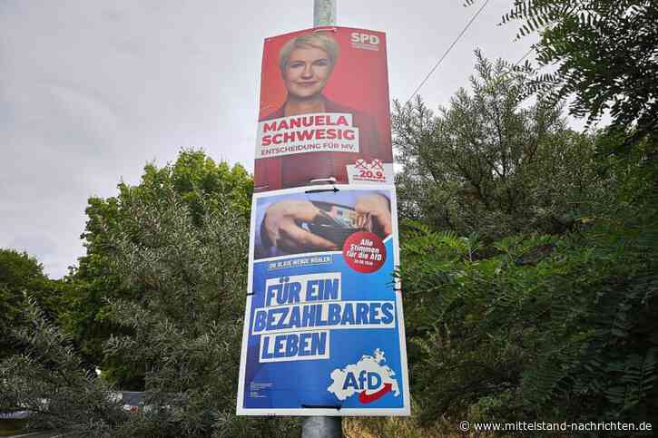 Landtagswahl Mecklenburg-Vorpommern: Schwesig und Holm geben Stimme ab