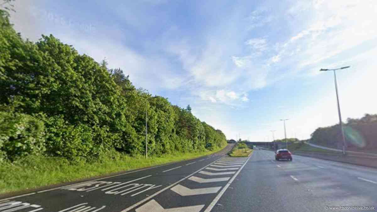 Firefighters called to A1 after bus catches fire in Newcastle