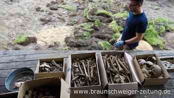 Knochenfund in Dibbesdorf: Unbekannte Gebeine erhalten letzte Ruhestätte